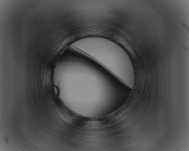 X0000096650212200802050941