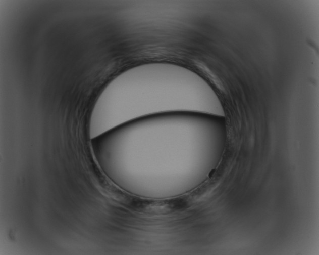 X0000096650213200802050941