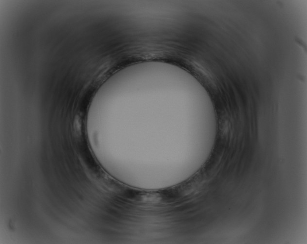 X0000096650214200802050941