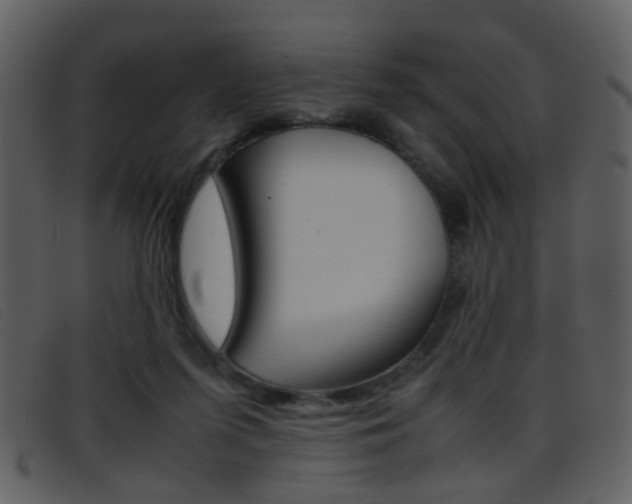 X0000096650215200802050941
