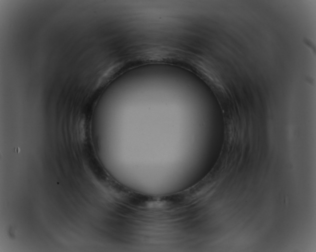 X0000096650216200802050941