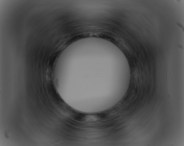 X0000096650218200802050941
