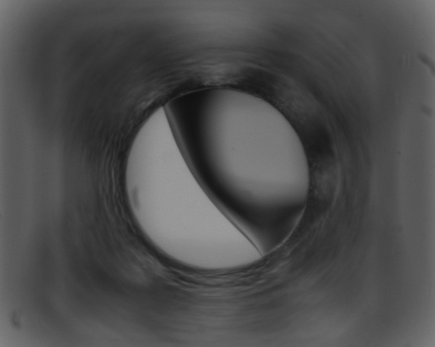 X0000096650219200802050941