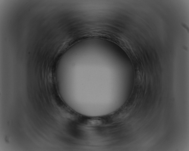 X0000096650220200802050941
