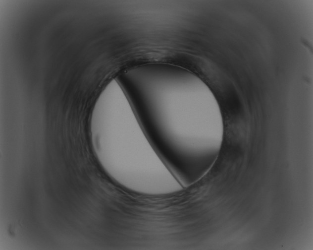 X0000096650221200802050941