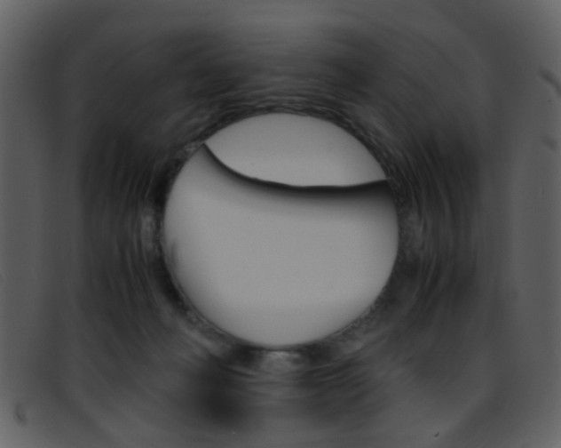 X0000096650222200802050941