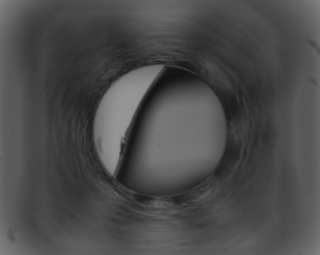 X0000096650223200802050941