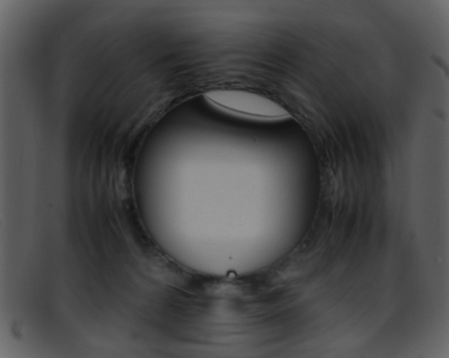 X0000096650224200802050941