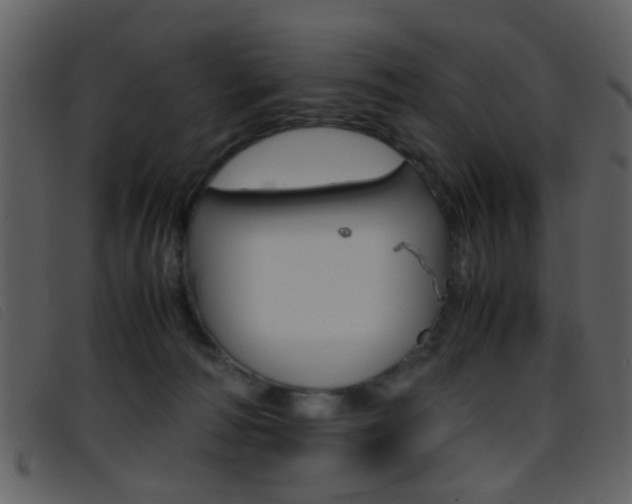 X0000096650226200802050941
