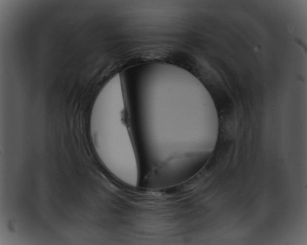 X0000096650227200802050941