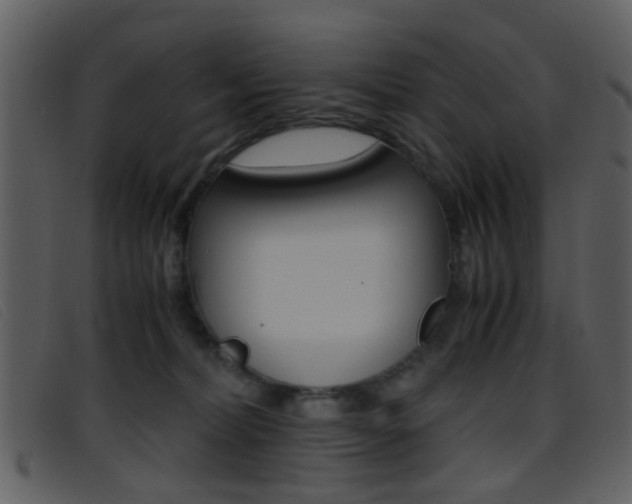 X0000096650228200802050941