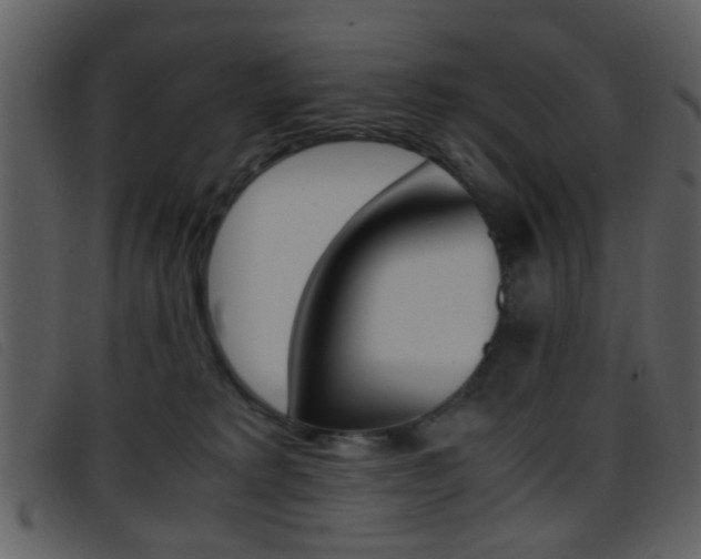 X0000096650229200802050941