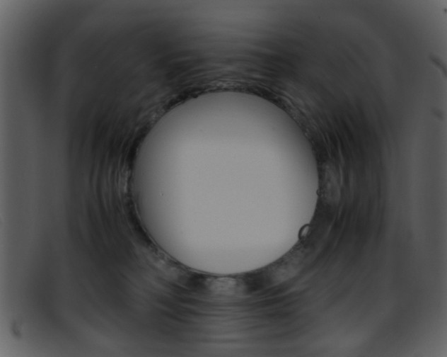 X0000096650230200802050941