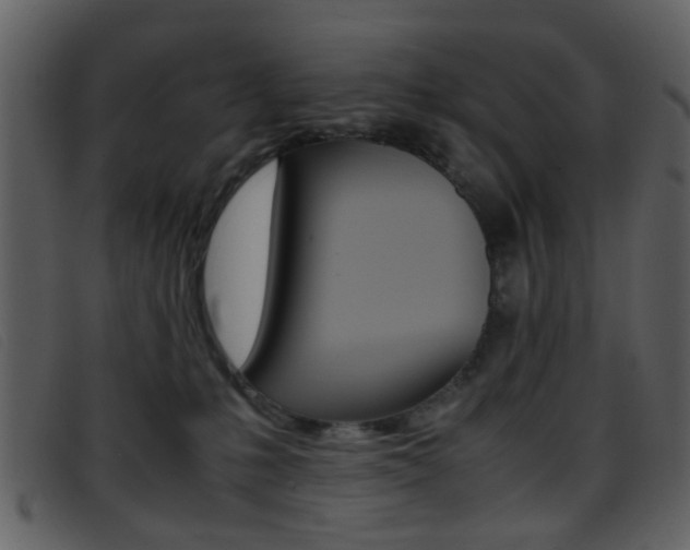 X0000096650231200802050941