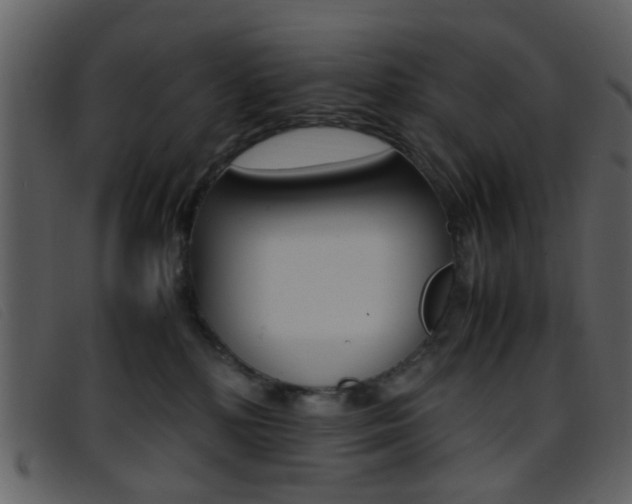 X0000096650232200802050941