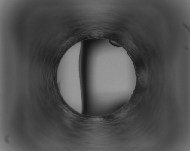 X0000096650233200802050941