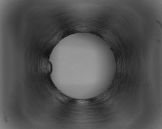 X0000096650234200802050941