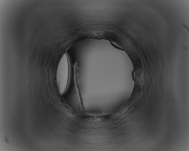 X0000096650235200802050941