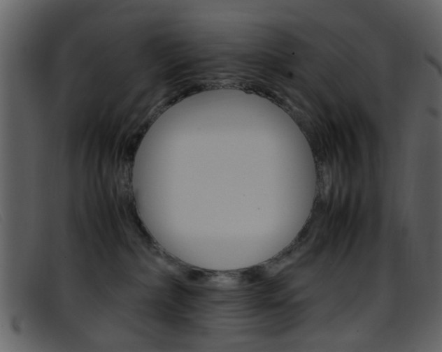 X0000096650236200802050941