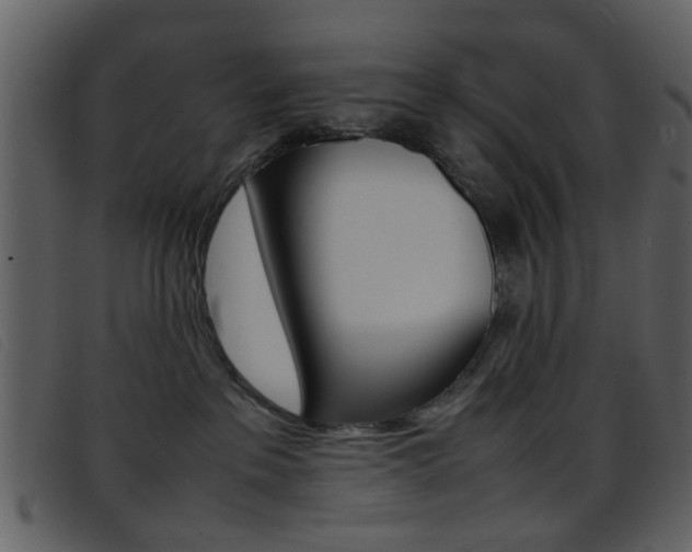X0000096650237200802050941