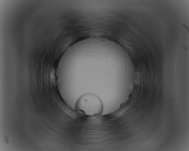 X0000096650238200802050941