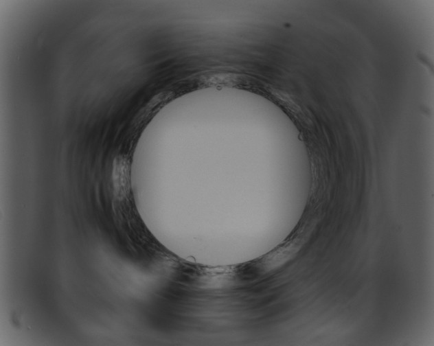 X0000096650240200802050941