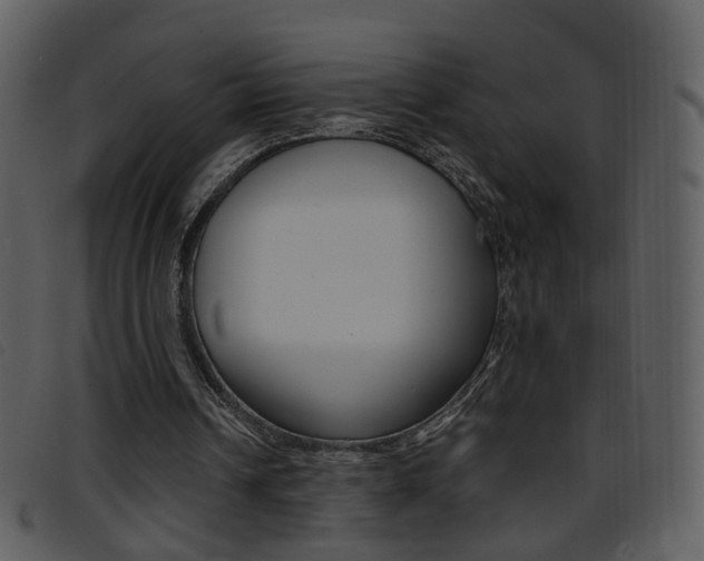 X0000096650242200802050940