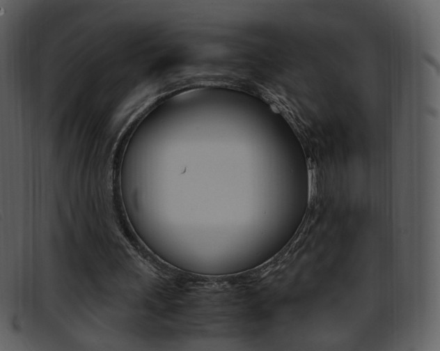 X0000096650243200802050940