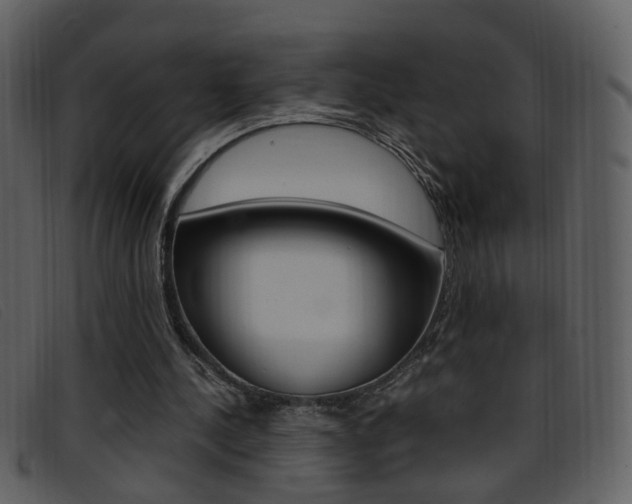X0000096650244200802050940