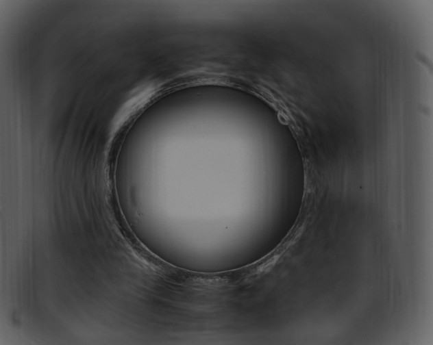 X0000096650245200802050940