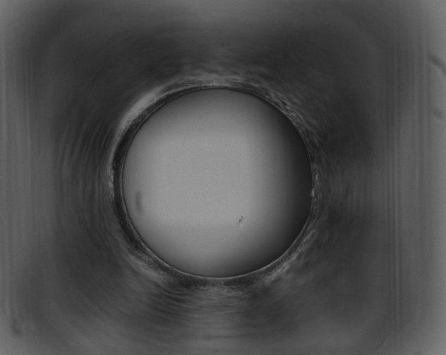 X0000096650246200802050940