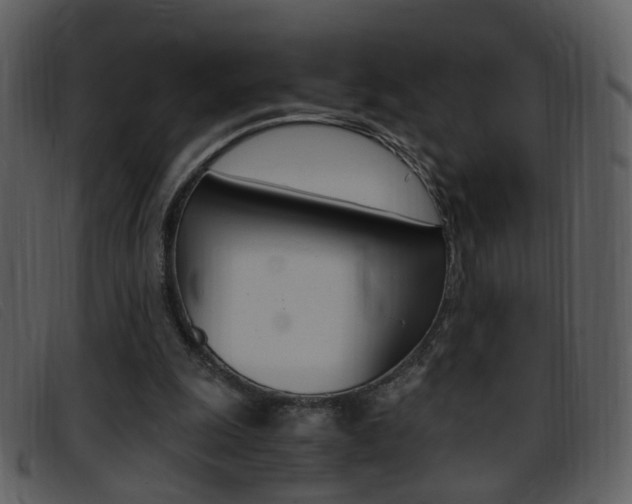 X0000096650247200802050940