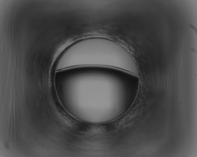 X0000096650248200802050940