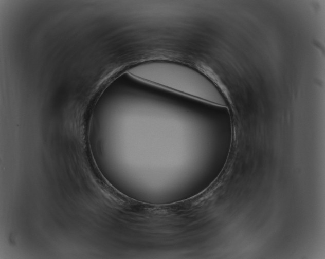 X0000096650249200802050940