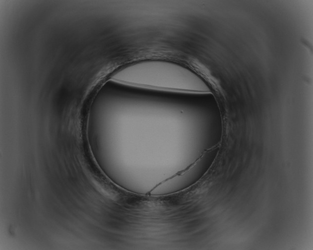 X0000096650250200802050940
