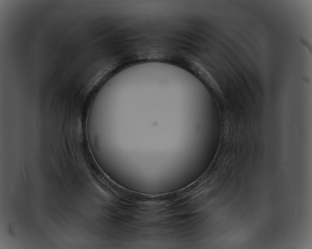 X0000096650251200802050940