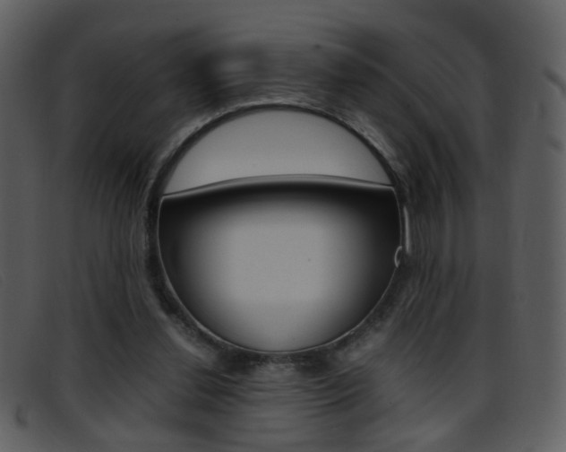 X0000096650252200802050940