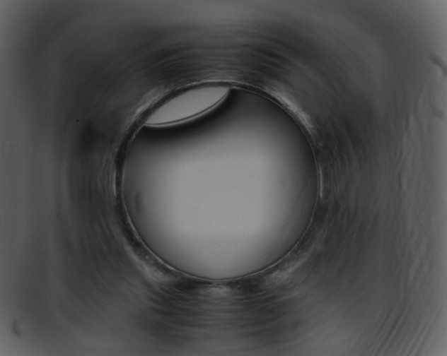 X0000096650253200802050940
