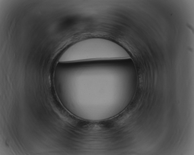 X0000096650254200802050940