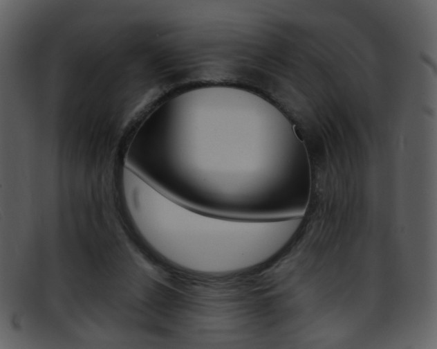 X0000096650256200802050940