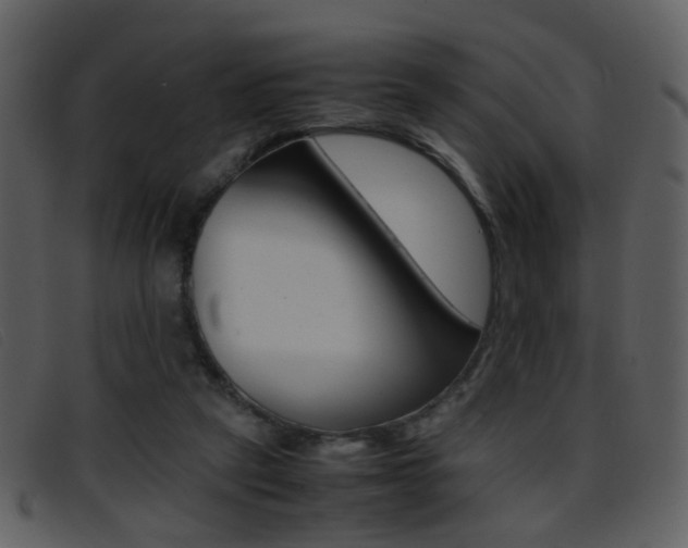 X0000096650257200802050940