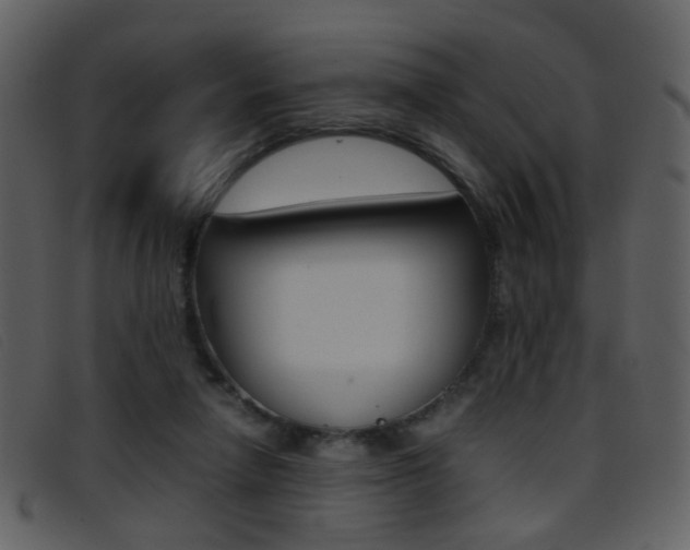 X0000096650258200802050940