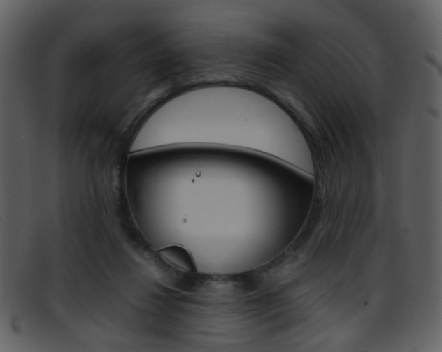 X0000096650260200802050940