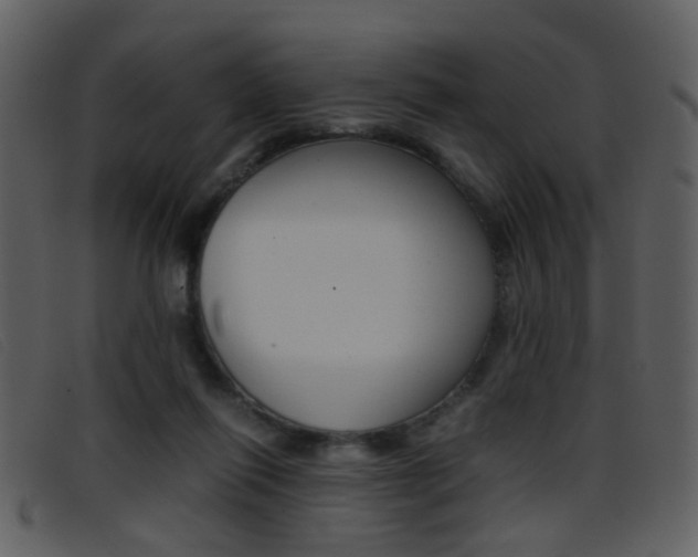 X0000096650262200802050940