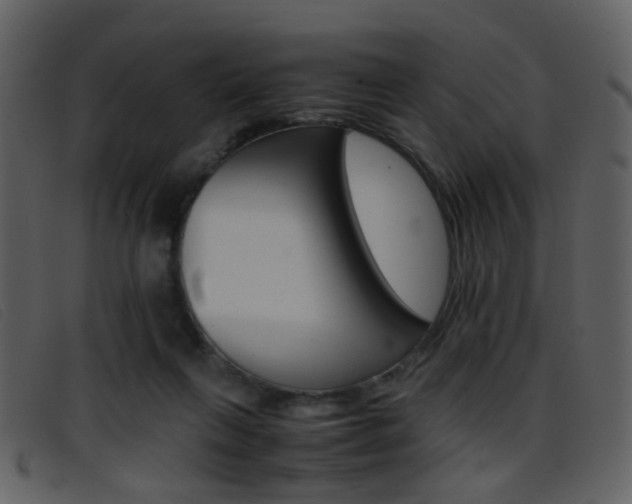 X0000096650263200802050940