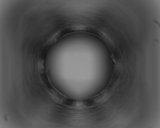 X0000096650264200802050940