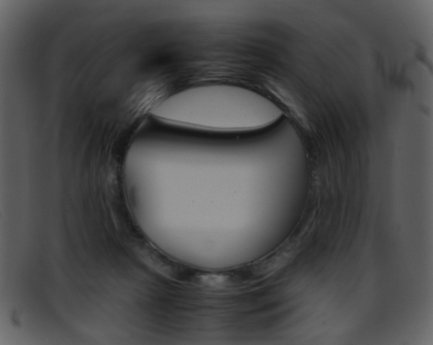 X0000096650265200802050940