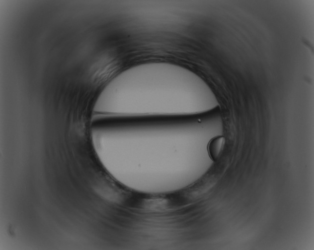 X0000096650266200802050940