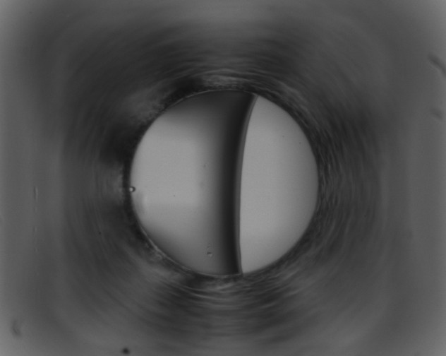 X0000096650267200802050940