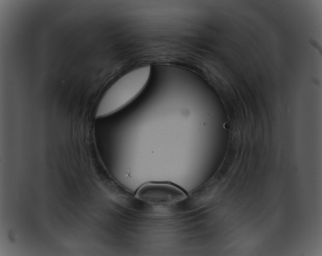 X0000096650268200802050940